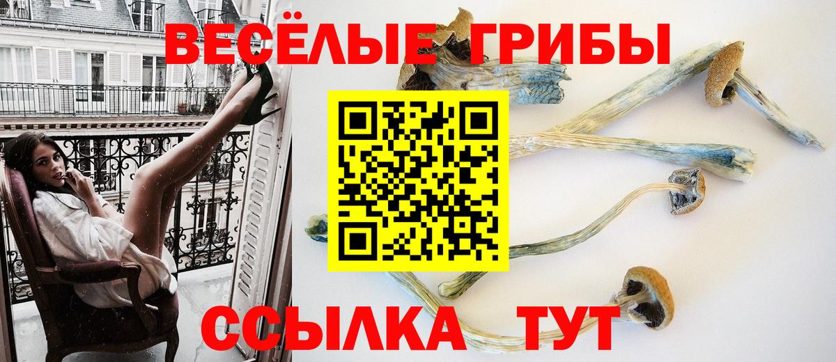 Галлюциногенные грибы Cubensis  Вход с VPN  Мценск  Галлюциногенные грибы Magic Shrooms 