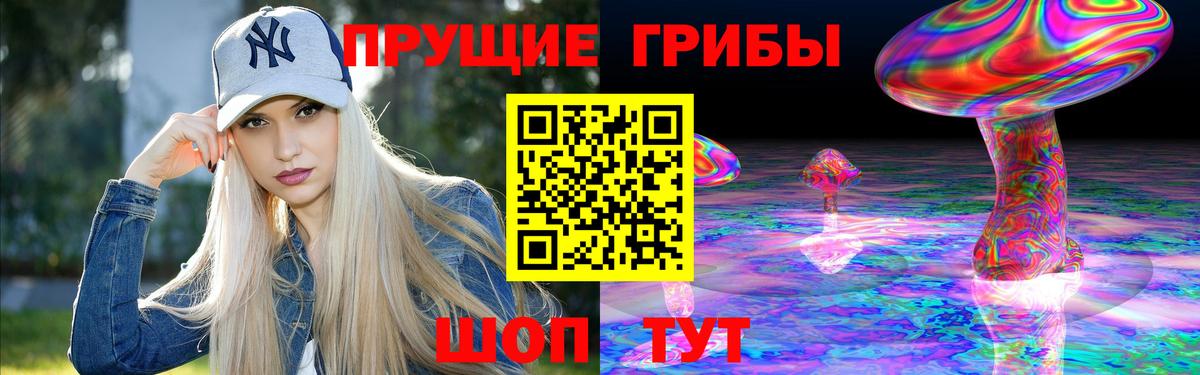 Галлюциногенные грибы Psilocybe Мценск