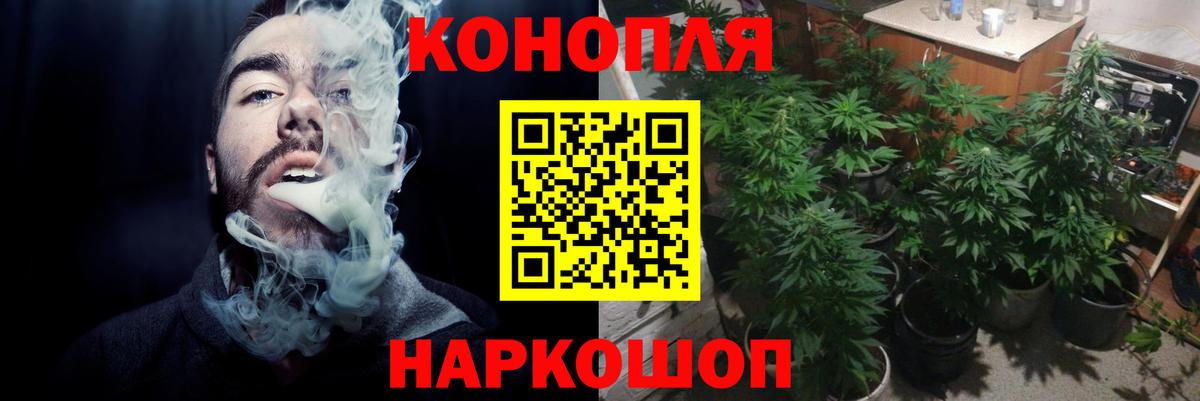Конопля VHQ  Вход с VPN  Мценск  Шишки марихуана сатива  Конопля марихуана 